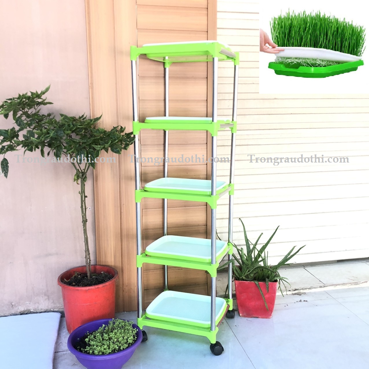 Kệ trồng rau mầm lắp ghép 5 tầng 5 chậu